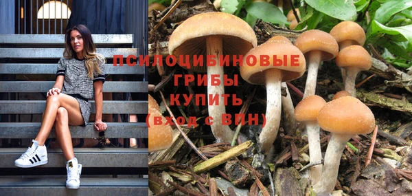 марихуана Абаза