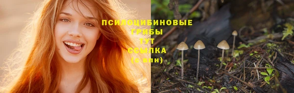 марихуана Абаза