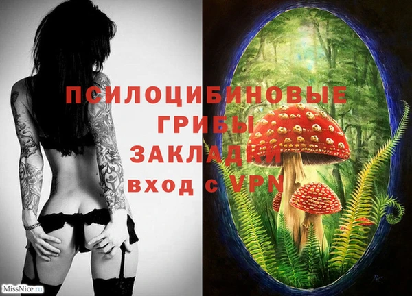 индика Краснотурьинск