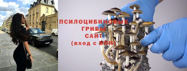 индика Краснотурьинск