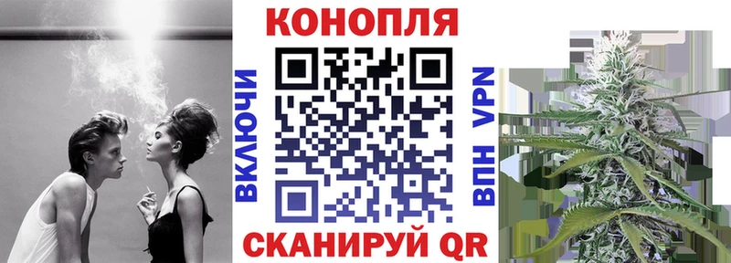 Конопля индика  продажа наркотиков  Владикавказ 